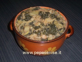 RIBOLLITA